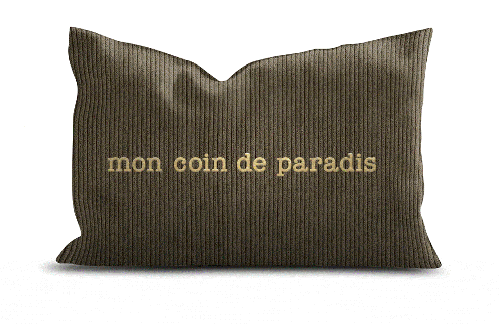 coussin brode velours